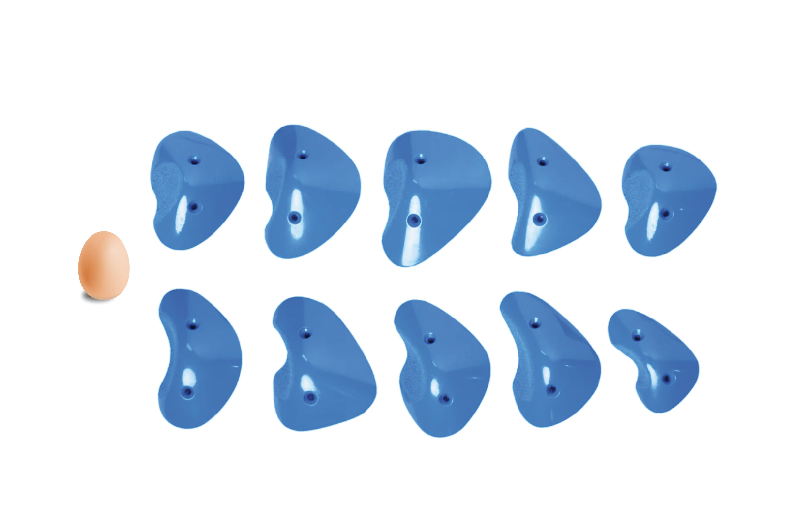 Pu Holds