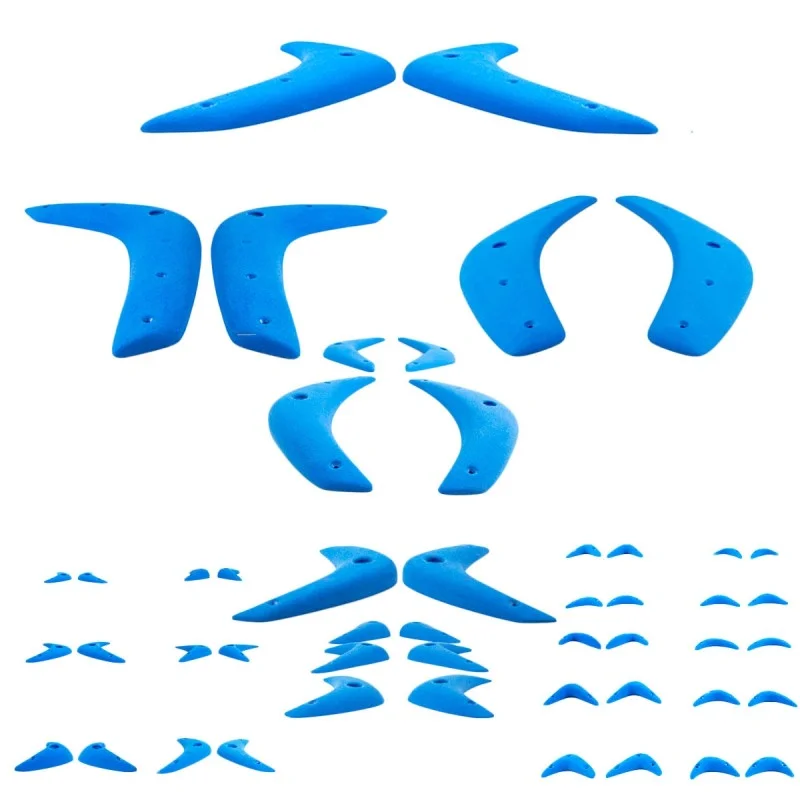 The Boometrics Family — Euroholds
