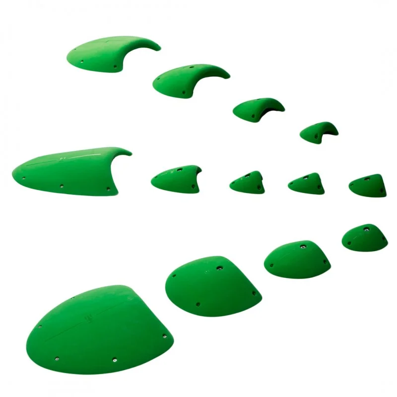 Turtles Family — Euroholds