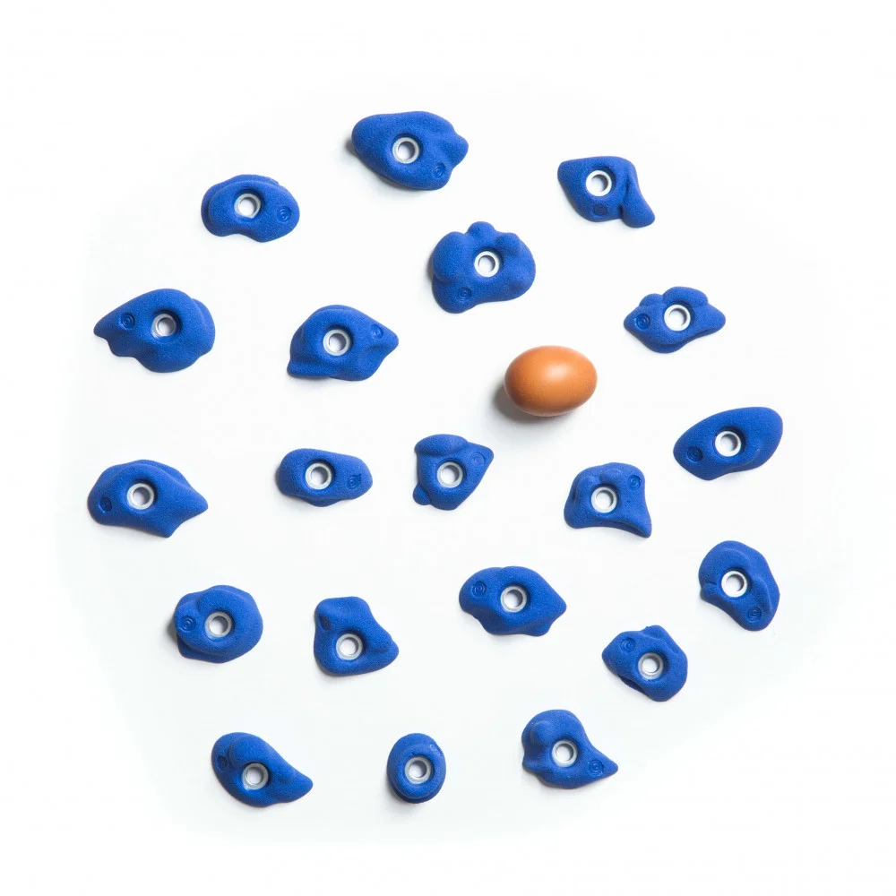 Cells — Morpho